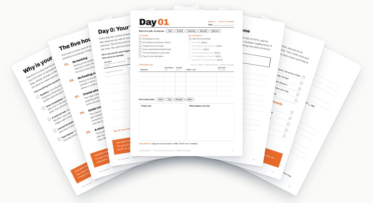Pages from the planner fanned out, with a daily page on top