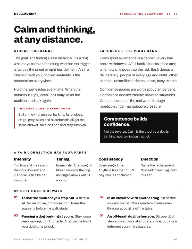Page 5: calm and thinking, at any distance