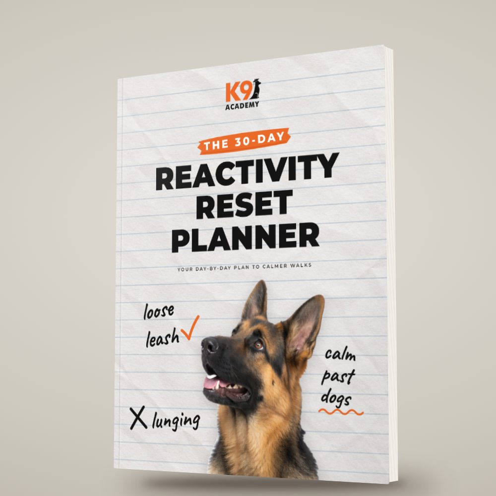 The 30 Day Reactivity Reset Planner