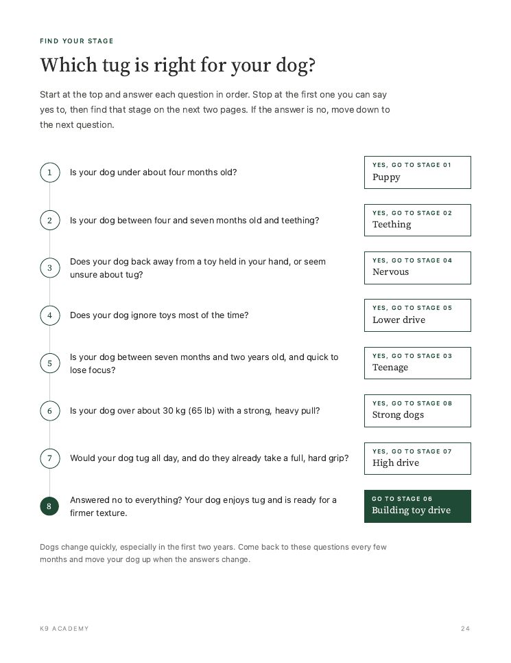 Page 24: which tug is right for your dog