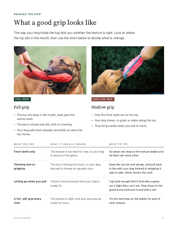 Page 6: what a good grip looks like